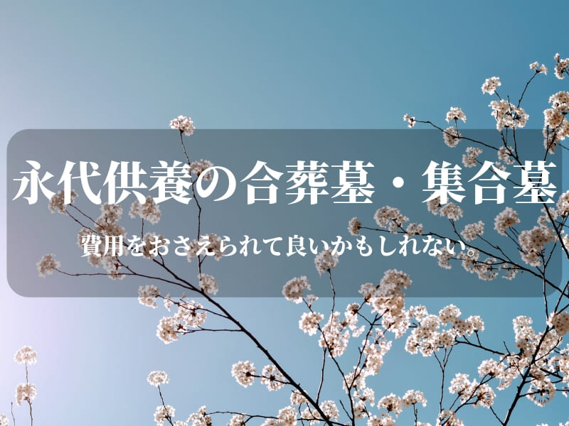 お墓は永代供養の合葬墓・集合墓が費用をおさえられて良いかもしれない