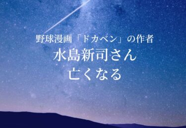 【お悔やみ 訃報】ドカベン あぶさん 作者 水島新司さん死去