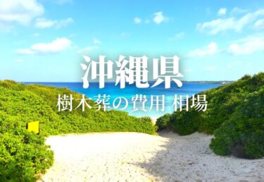 【沖縄県】樹木葬の費用 料金 値段の相場 どこの樹木葬を選ぶ？